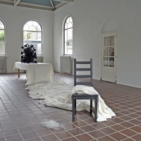Lampblack, Bewaerschole, Burgh Haamstede, NL. 2010
